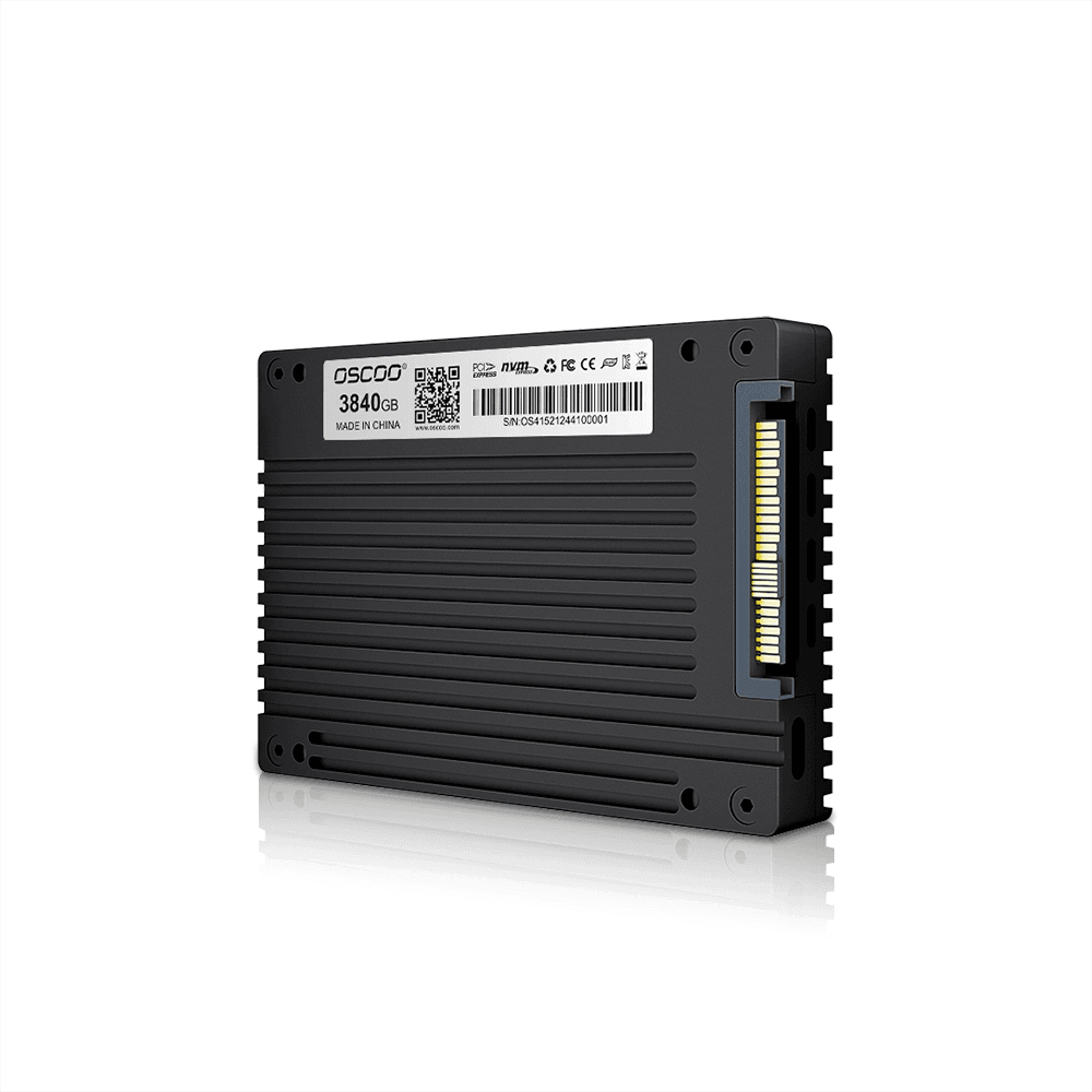 OE200 U.2 NVME Enterprise SSD