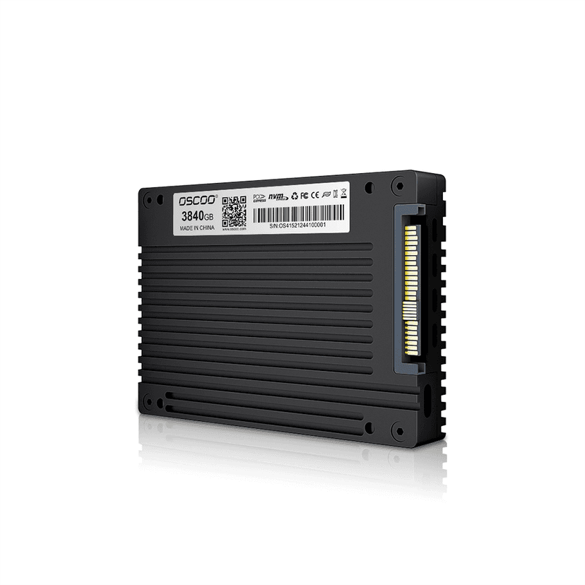OE200 U.2 NVME Enterprise SSD