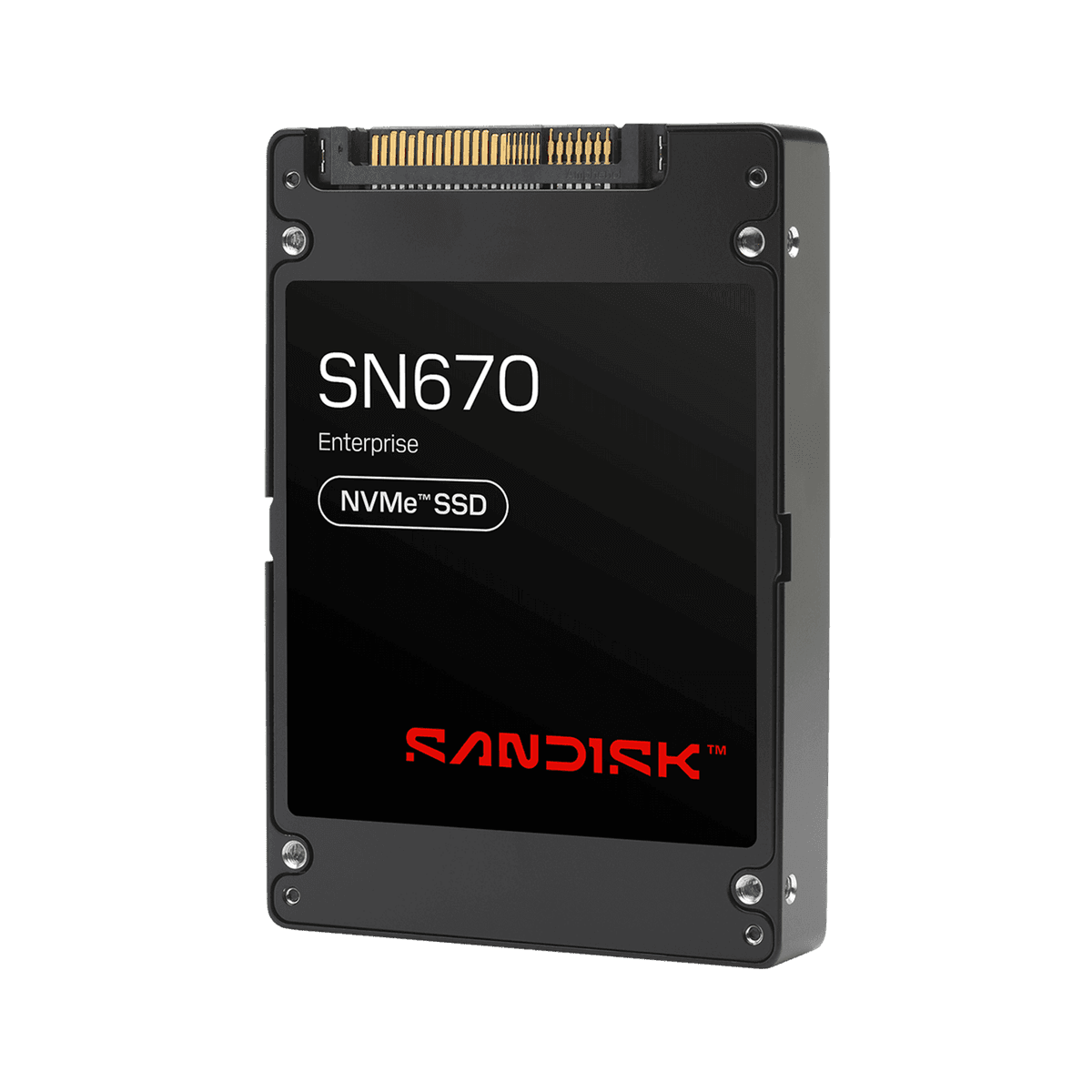 SANDISK SN670 NVMe™ SSD - 122.88 TB