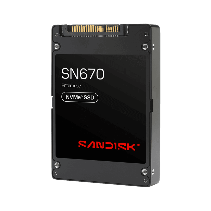 SANDISK SN670 NVMe™ SSD - 122.88 TB